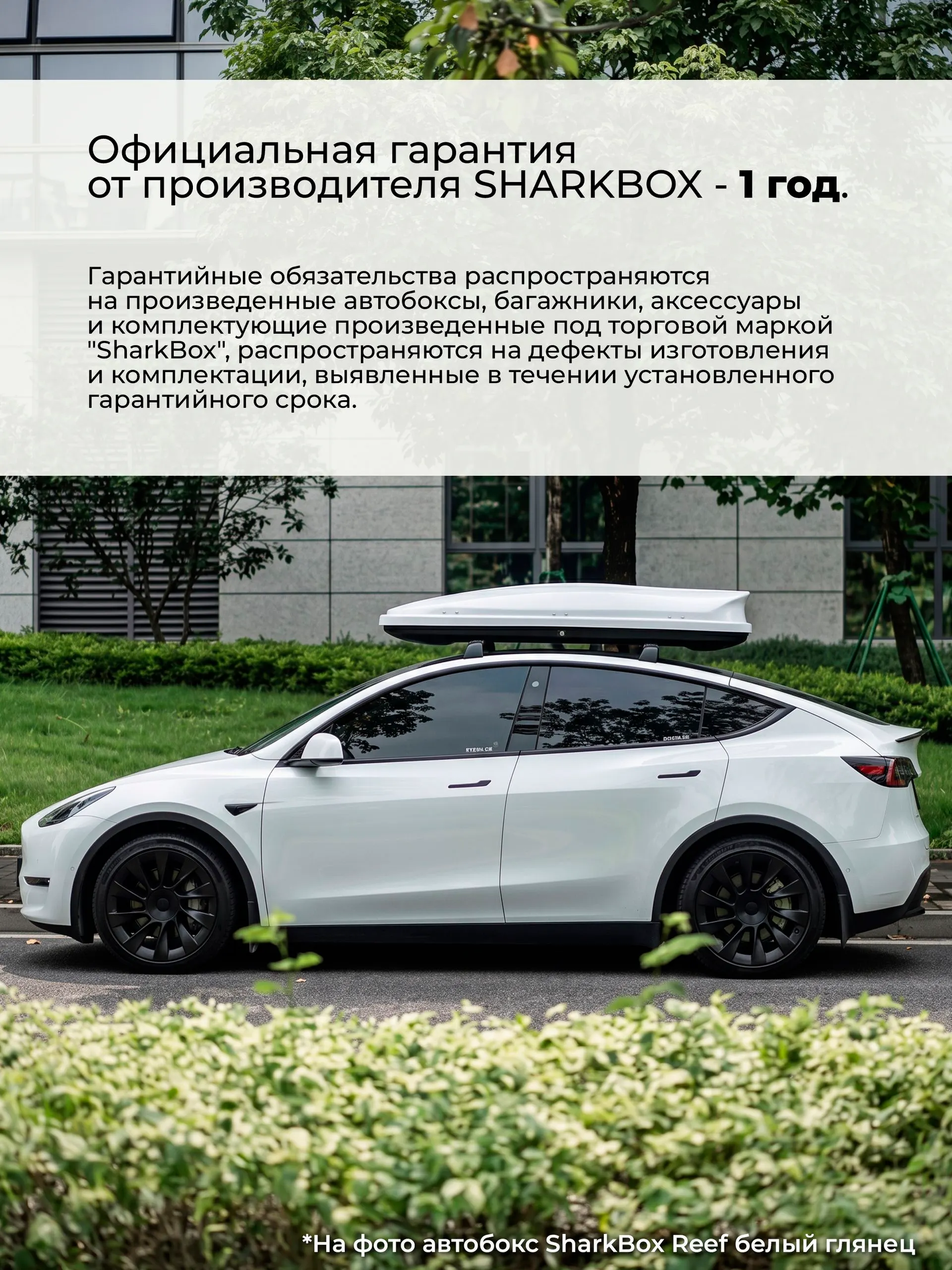 Автобокс SharkBox Reef 200, чёрный глянец — фото 6